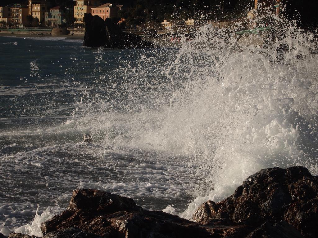 A Ca Da Vaniglia Monterosso al Mare Eksteriør billede